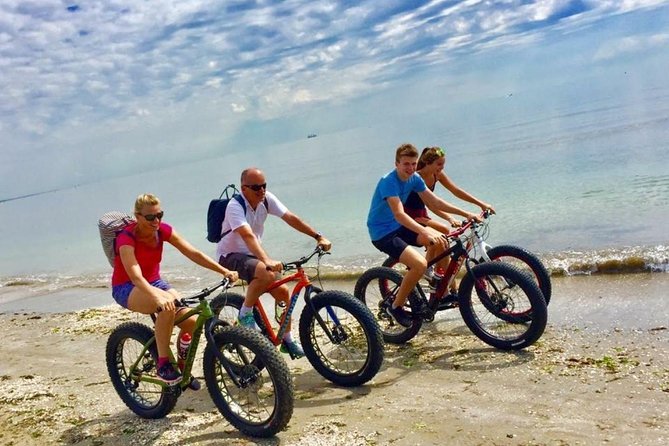 Venice Bike Tour - Experience Highlights