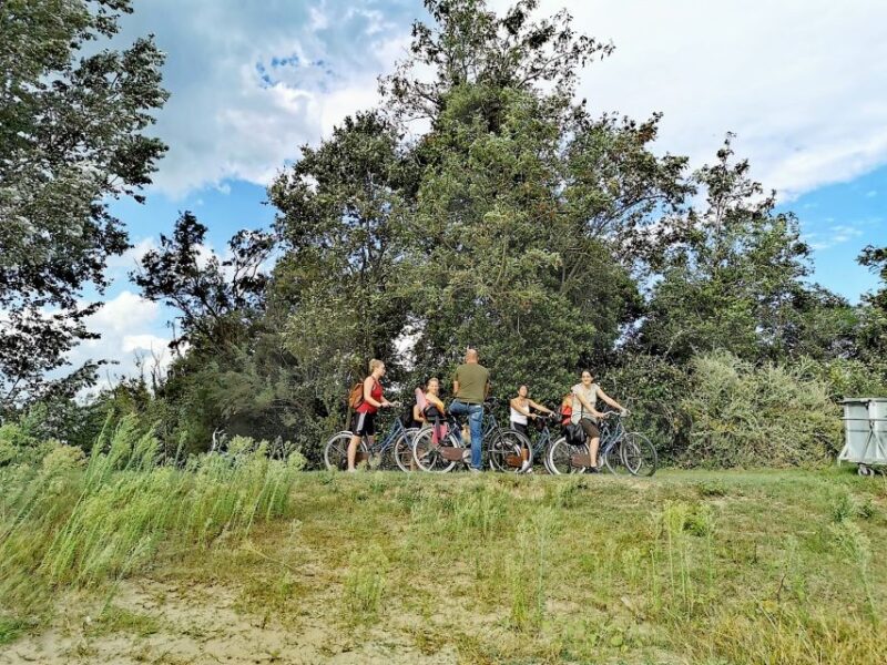 Venice: Bike Tour Honey & Artichockes on Sant'Erasmo Island - Customer Reviews and Feedback