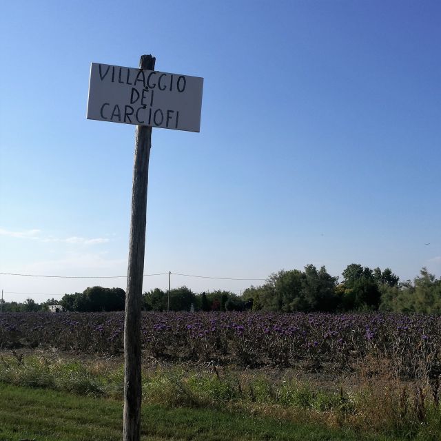 Venice: Bike Tour Honey & Artichockes on Sant'Erasmo Island - Exploring SantErasmo Island