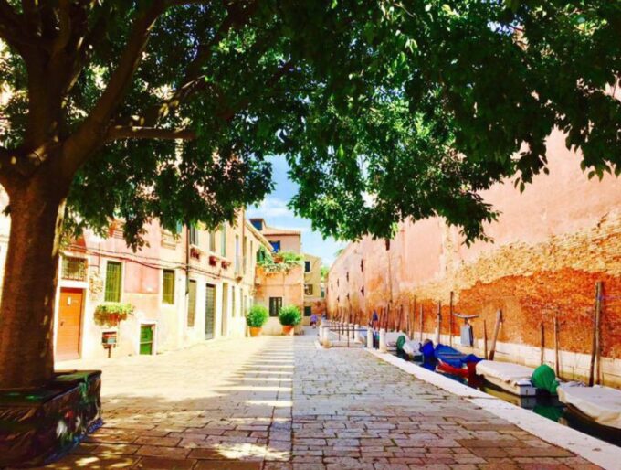 Venice Castello Area: Private Walking Tour - Customer Feedback