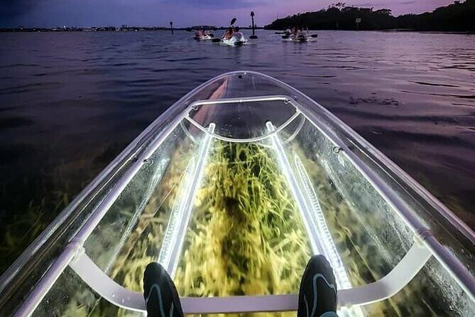 Venice Clear Kayak Glass Bottom LED Night Tour - Venice Clear Kayak Glass Bottom LED Night Tour: A Detailed Review