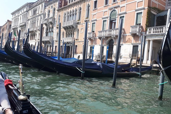 Venice Full Day Tour From Milan by High Speed Train. Small Group - Customer Support and Resources