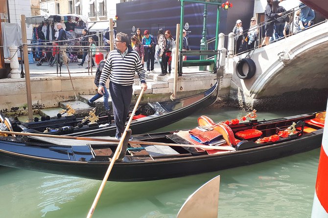 Venice Full Day Tour From Milan by High Speed Train. Small Group - Participant Reviews and Feedback