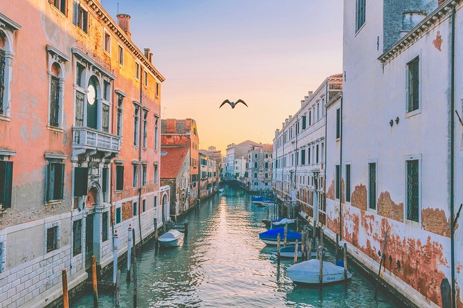 Venice Guided Walking Tour - Navigating Venices Streets