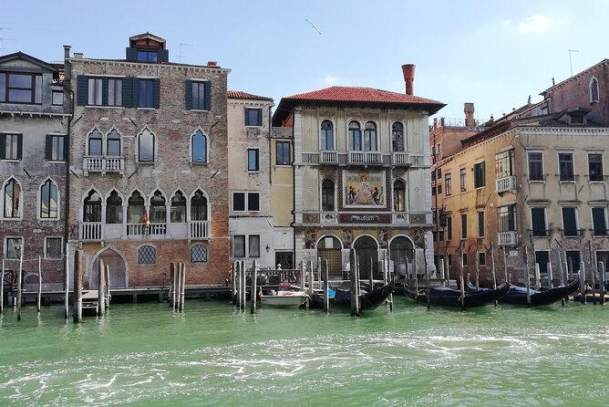 VENICE in 1 Day WOW Tour: City Walk, Murano, Burano With Lunch! - Traveler Reviews and Ratings