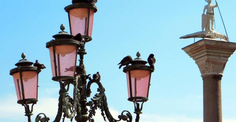 Venice: Private City Tour - Inclusions