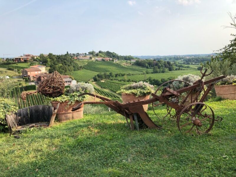 Venice: Prosecco Hills Wineries Tour With Tastings and Lunch - Inclusions