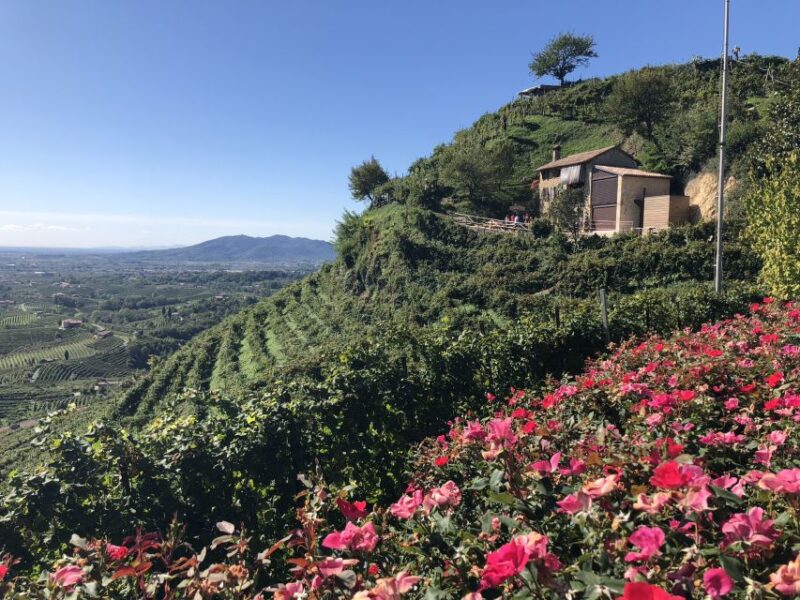 Venice: Prosecco Hills Wineries Tour With Tastings and Lunch - Customer Reviews