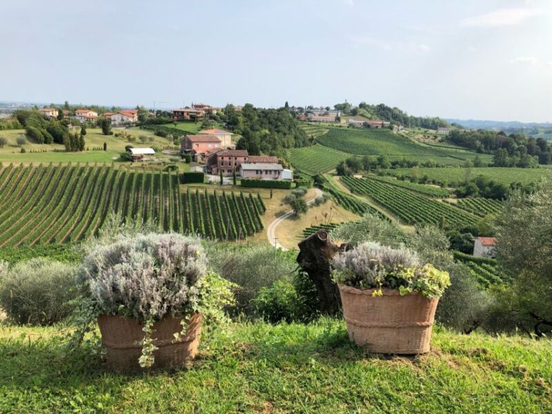 Venice: Prosecco Hills Wineries Tour With Tastings and Lunch - Explore the Prosecco Hills