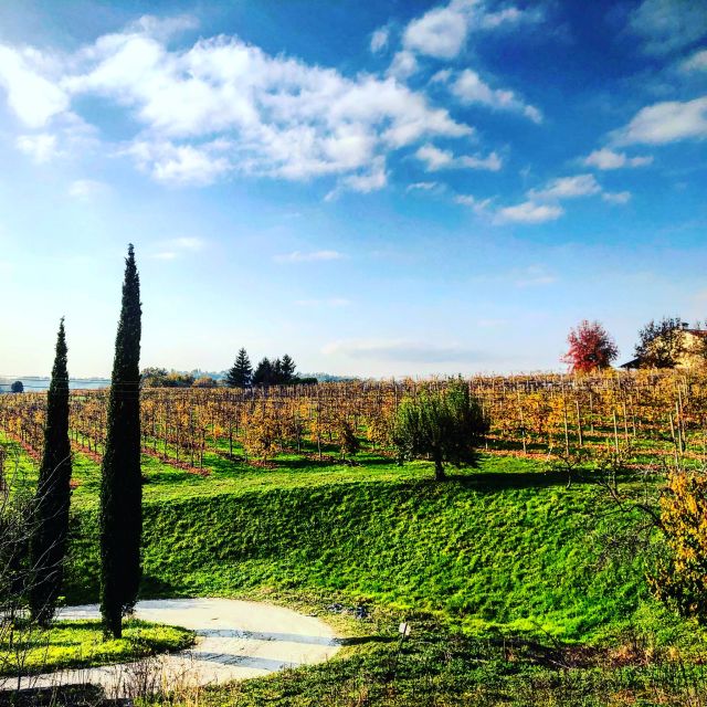 Venice: Prosecco Hills Wineries Tour With Tastings and Lunch - Savor a Traditional Lunch