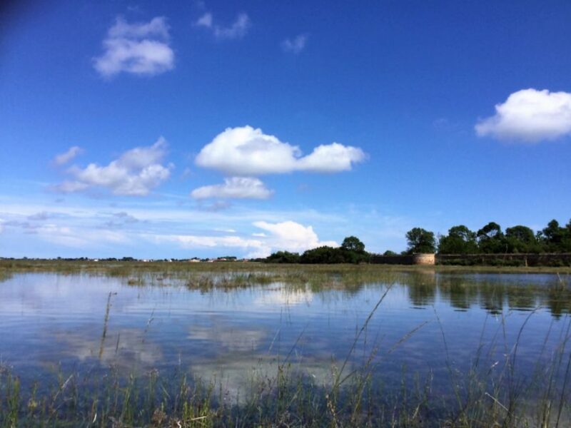 Venice: Sant'Erasmo, Vignole, and Lagoon Kayaking Tour - Experience Highlights