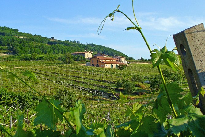 Venice-Verona Amarone Tour - Schedule and Accessibility