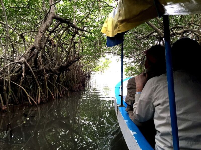 Veracruz: 5-Attraction Tour With Aquarium and Boat Tour - Customer Reviews