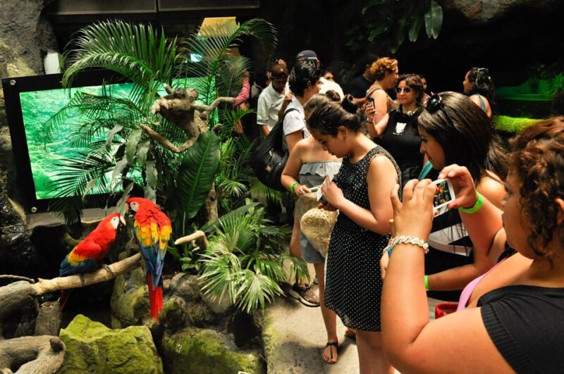 Veracruz: 5-Attraction Tour With Aquarium and Boat Tour - Tour Pricing and Duration