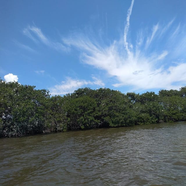 Veracruz: A Journey of Color, Flavor, and Tradition - Historical Port of Alvarado