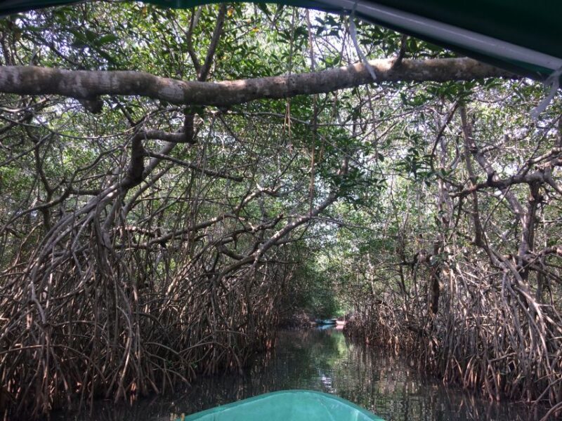 Veracruz: City Tour With Mandinga Boat Ride - Itinerary Highlights