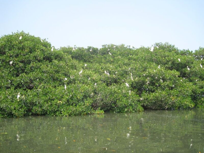 Veracruz: City Tour With Mandinga Boat Ride - Frequently Asked Questions