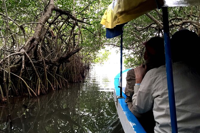 Veracruz City Tour With San Juan De Ulúa and Mandinga Boat - Practical Information for Travelers
