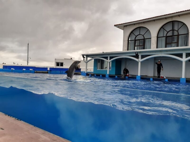 Veracruz: Guided City Tour With Ulua + Aquarium Visit - Explore San Juan De Ulua