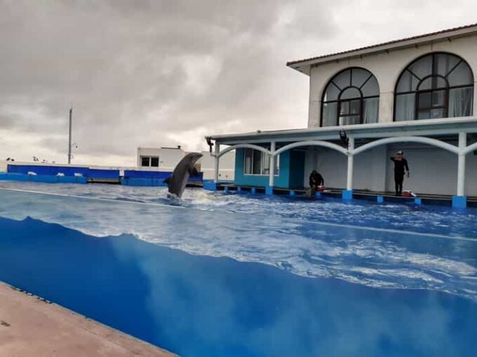 Veracruz: Guided City Tour With Ulua + Aquarium Visit - Visit Boca Del Rio