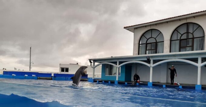 Veracruz: Guided City Tour With Ulua + Aquarium Visit - Explore Veracruz Aquarium
