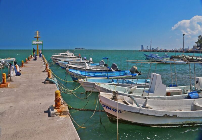 Veracruz: Panoramic Sightseeing City Bus Tour - Important Details