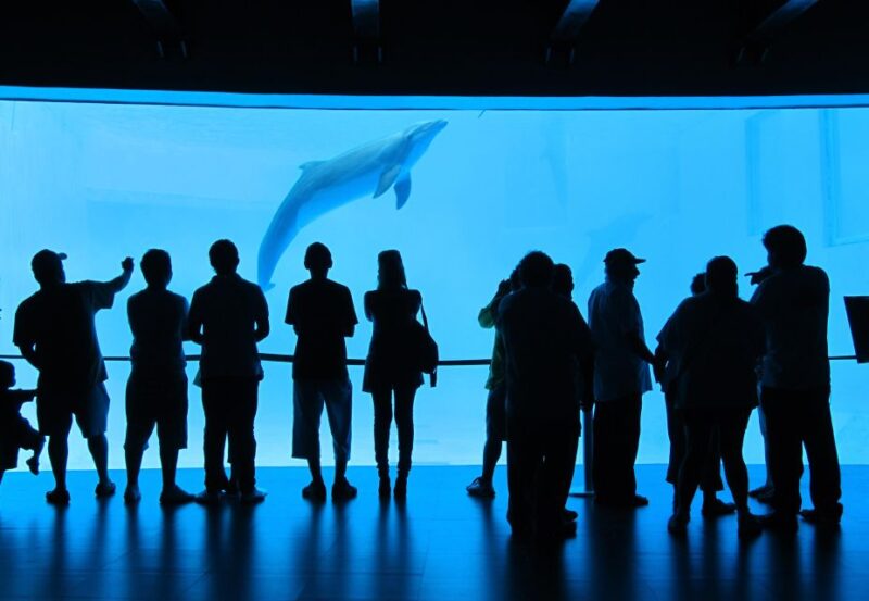 Veracruz: Panoramic Sightseeing City Tour and Aquarium - Sightseeing Experience