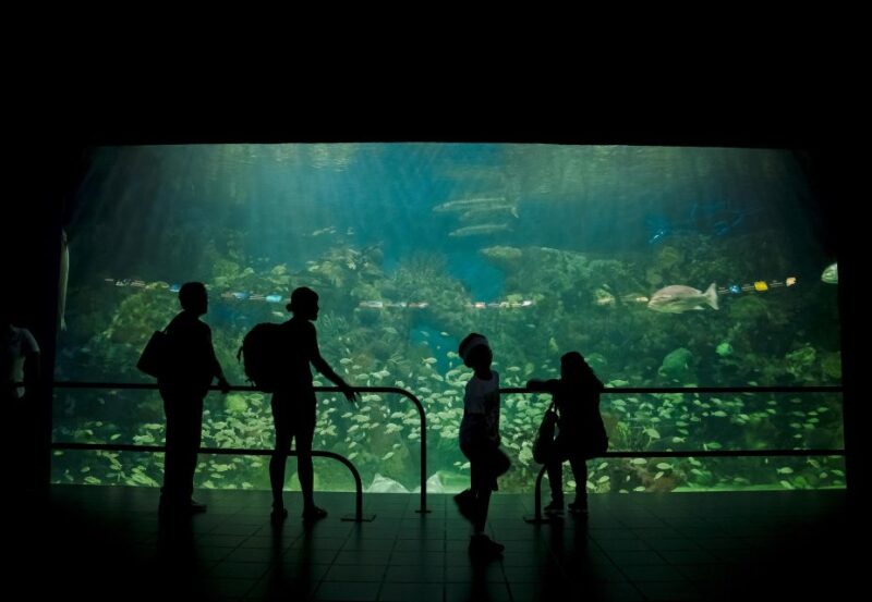 Veracruz: Panoramic Sightseeing City Tour and Aquarium - Reservation and Cancellation