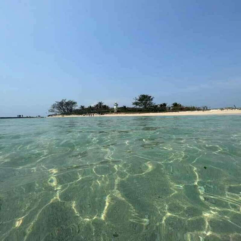 Veracruz: Snorkeling Adventure at Isla de En Medio - What to Expect from the Tour