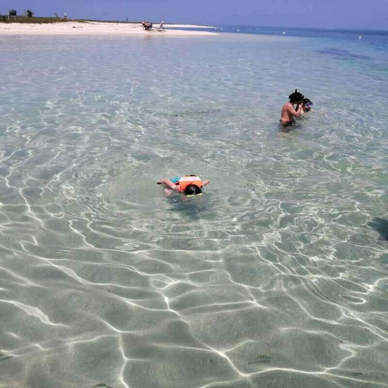 Veracruz: Snorkeling Adventure at Isla de En Medio - The Practical Side: Pricing, Duration, and Group Size