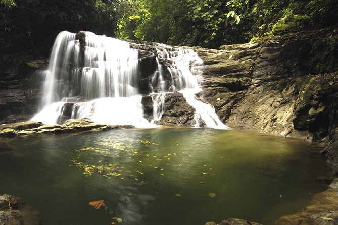 Veragua Rainforest and Tortuguero Canals Shore Excursion - Inclusions and Exclusions