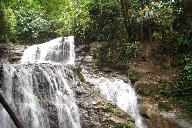 Veragua Rainforest Eco-Adventure & Aerial Tram & Tortuguero Canal - Key Points