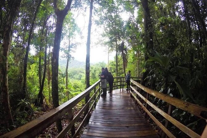 Veragua Rainforest Experience and Tram Ride in Puerto Limon - Inclusions and Requirements