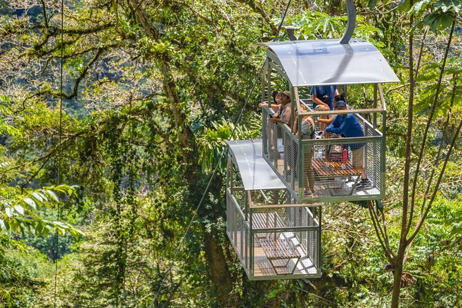 Veragua Rainforest Experience and Tram Ride in Puerto Limon - Pickup and Transportation