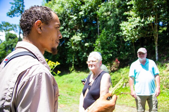 Veragua Rainforest Experience and Tram Ride in Puerto Limon - Participant Feedback