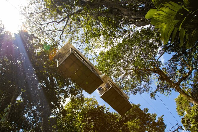 Veragua Rainforest Experience and Tram Ride in Puerto Limon - Exploring the Rainforest
