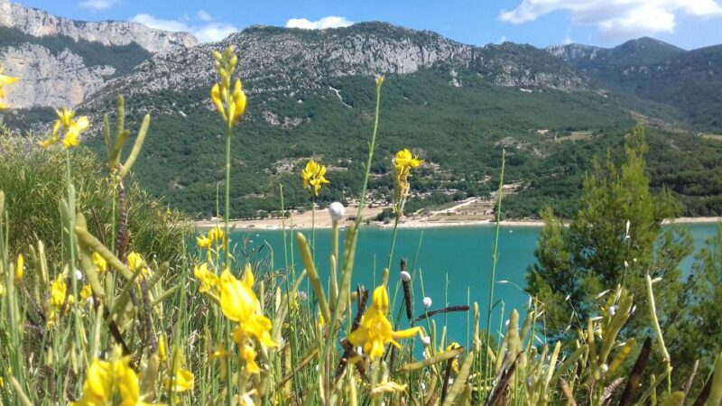 Verdon Gorge: the Grand Canyon of Europe, Lake and Lavender - Marveling at Lavender Fields