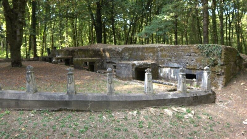 Verdun: 1916 Hell of the Battle - Just The Basics