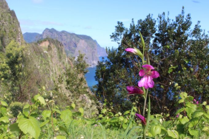 Vereda Do Larano: Machico to Porto Da Cruz via Boca Do Risco - Frequently Asked Questions