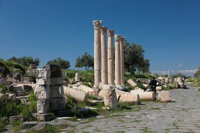 Vergina and Veria Half-Day Tour From Thessaloniki - Itinerary Details