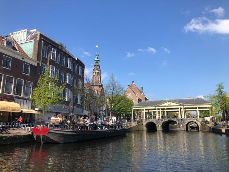 Vermeer'S Girl With the Pearl Earring & Rembrandt'S Leiden - Key Points