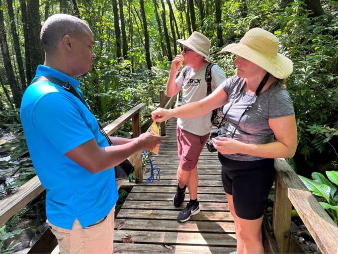 Vermont Nature Trail and Bird Watching Tour - Historical Sites in Kingstown