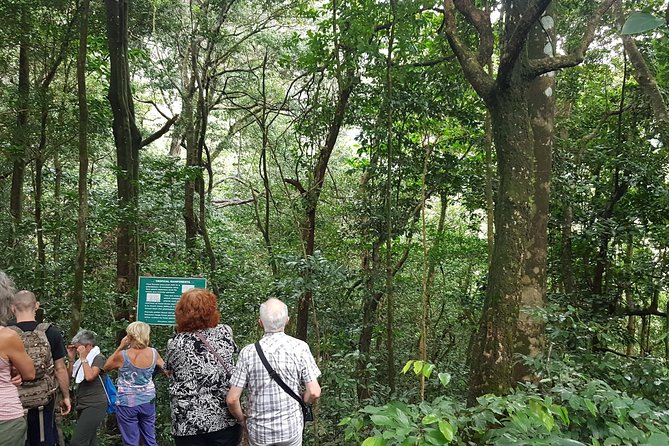 Vermont Nature Trail Hike - About Your Stay