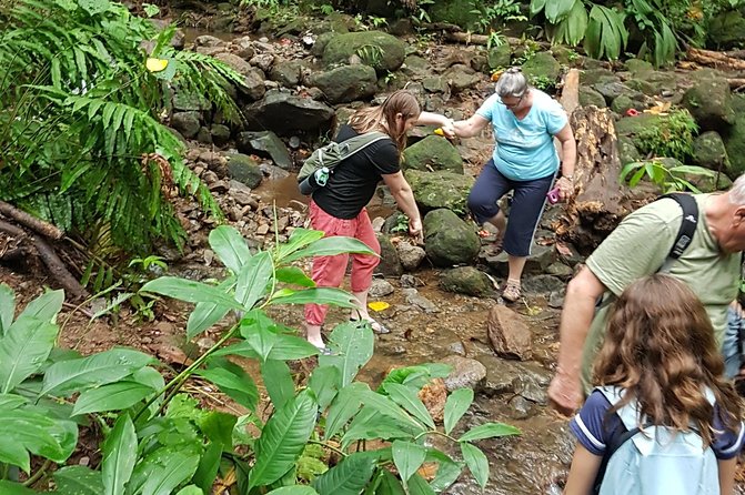 Vermont Nature Trail Hike - Booking and Cancellation Policy