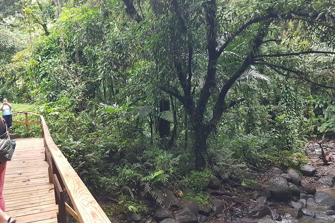 Vermont Nature Trail Hike - Booking Your Stay