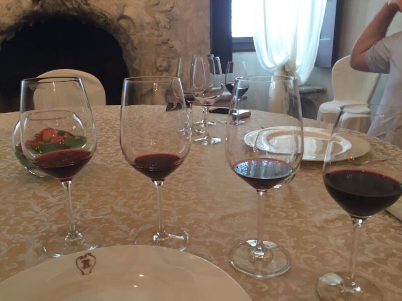 Verona: Amarone Wine Tour With Gourmet Lunch in Roman Villa - Transportation and Services
