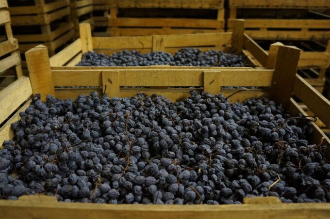 Verona: Amarone Wine Tour With Gourmet Lunch in Roman Villa - Luxury Winery Visit