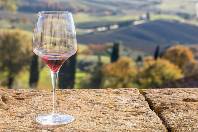 Verona Area: Wine Tasting Experience in Valpolicella - Wine Production Processes Explained