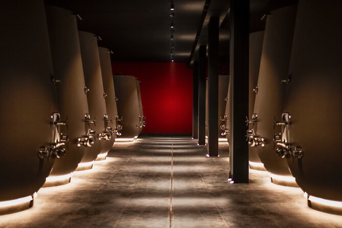 Verona Area: Wine Tasting Experience in Valpolicella - Scenic Views of the Valpolicella Area