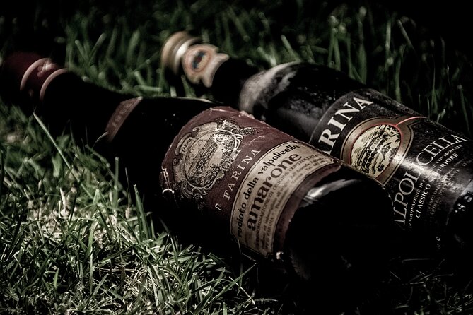 Verona Area: Wine Tasting Experience in Valpolicella - Booking and Logistical Details